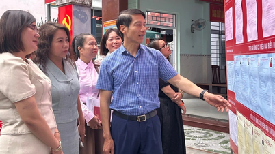 El subsecretario del Comité Provincial del Partido, Nguyen Ngoc Luong, inspeccionó los preparativos electorales en los distritos de Quy Nhon Tay y Quy Nhon Nam.