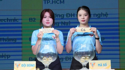 Stabilirea celor 3 grupe pentru finala Campionatului de fotbal pentru tineret și studenți din Vietnam din 2026.