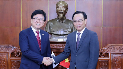 Le ministre par intérim Hoang Minh Son : Nous étudions la possibilité d'ouvrir une antenne d'une université coréenne au Vietnam.