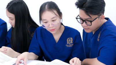 Trường đại học đầu tiên tại Việt Nam đạt chuẩn kiểm định quốc tế THE-ICE