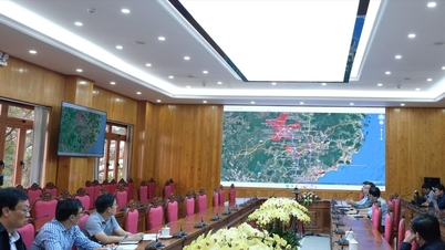 ខេត្ត Lam Dong កំពុងបង្កើតផែនការសម្រាប់ផ្លូវល្បឿនលឿន Phan Thiet - Bao Loc - Gia Nghia ។