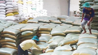 Ban hành Kế hoạch triển khai thi hành Luật Dự trữ quốc gia