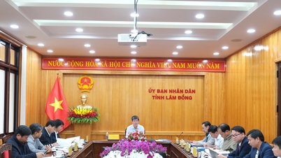 Lam Dong province is considering the investment policy for the Bcons Mimosa social housing project.