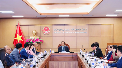 Spolupráce při zavádění mezinárodních programů a certifikací v anglickém jazyce ve Vietnamu.