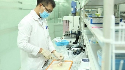 The Ministry of Health emphasizes the need to standardize testing for the determination of cereulide toxicity in milk and nutritional products.