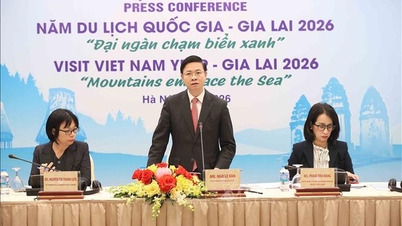 Conferência de imprensa internacional para apresentar o Ano Nacional do Turismo - Gia Lai 2026: "A vasta floresta toca o mar azul".