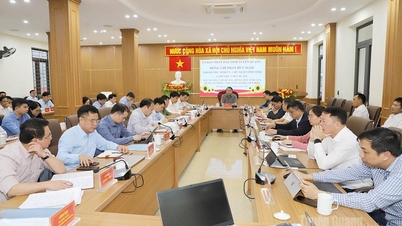 Przewodniczący Prowincjonalnego Komitetu Ludowego Phan Huy Ngoc współpracował z gminami Bac Quang, Tan Quang, Dong Yen, Vinh Tuy, Hung An, Dong Tam, Bang Hanh i Lien Hiep.
