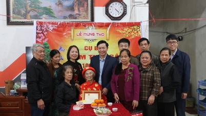İl düzeyindeki Vietnam Vatan Cephesi Komitesi liderleri, Khanh Khe, Van Quan ve Diem He beldelerindeki yüz yaşını aşmış kişileri ziyaret ederek tebrik etti.
