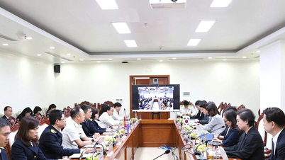 Korean experts share their experience in tax management in the context of the digital economy.
