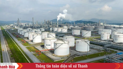 La refinería y planta petroquímica de Nghi Son continúa operando de manera estable y sin interrupciones, respondiendo proactivamente a las fluctuaciones en el suministro de petróleo crudo.