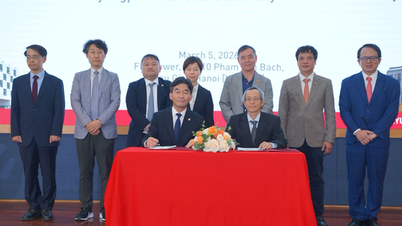 FPT och Kyungpook National University genomför ett internationellt utbildningsprogram.