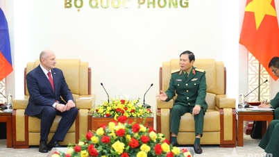 Vietnam és az Oroszországi Föderáció ösztönzi a polgári védelem és a katasztrófavédelem terén szerzett tapasztalatok cseréjét.