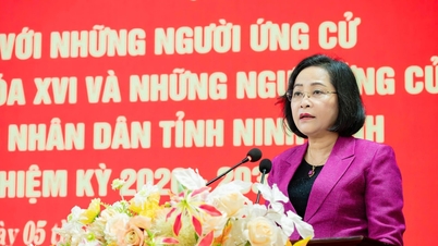 Nationalförsamlingens vice ordförande Nguyen Thi Thanh deltar i ett möte med väljare i Ninh Binh.