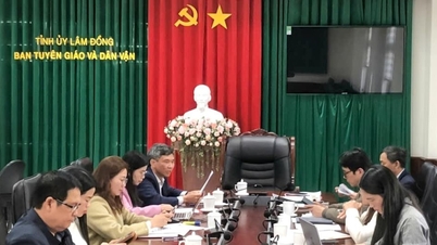 Триває підготовка до розробки плану комунікації та просування для провінції Лам Донг.