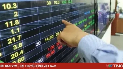 VN-Index fell nearly 10 points.