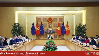 Сприяння всеохопному стратегічному партнерству між В'єтнамом та ЄС.