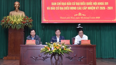 Comprehensive review, preparing for the great national event.