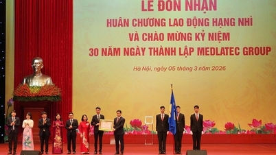 บริษัท Medlatec ได้รับเหรียญเกียรติยศด้านแรงงานชั้นที่สอง