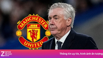 Bale steunt de benoeming van Ancelotti tot manager van Manchester United.