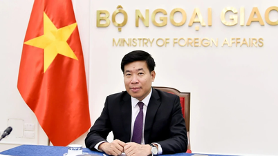 Dezvoltarea unor relații mai profunde și mai cuprinzătoare dintre Vietnam și Filipine.