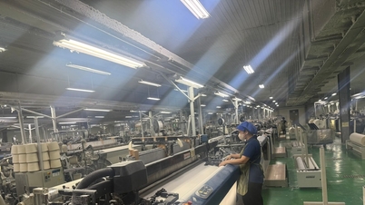 Investițiile în producția verde servesc strategiei de dezvoltare durabilă.