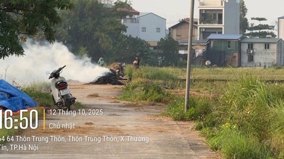 National Remote Sensing Agency (Ministry of Agriculture and Environment): Approximately 110 areas at risk of dust pollution have been identified in Hanoi.