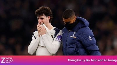 トッテナムが試合に負けたときの衝撃的なシーン。