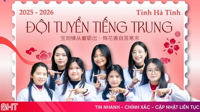 Het opleiden van een generatie jongeren in Ha Tinh met goede kennis van vreemde talen.