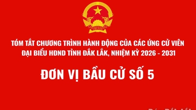 (Infographie) Résumé du programme d'action du candidat au Conseil populaire provincial de Dak Lak, mandat 2026-2031 - Unité électorale n° 5.