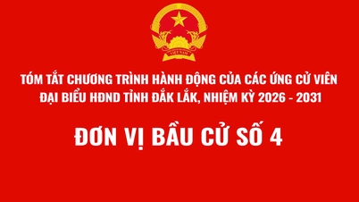 (Infographie) Résumé du programme d'action du candidat au Conseil populaire provincial de Dak Lak, mandat 2026-2031 - Circonscription électorale n° 4
