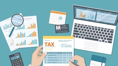 Instructions pour la déclaration et le paiement de la TVA et de l'impôt sur le revenu des personnes physiques pour les entreprises à domicile et les travailleurs indépendants.