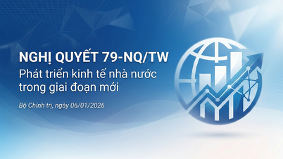 Резолюция 79-НК/ТВ Политбюро о развитии государственного хозяйства.