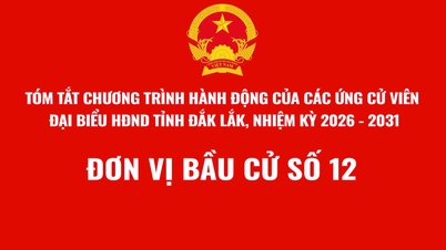 (Infographic) សេចក្តីសង្ខេបនៃកម្មវិធីសកម្មភាពរបស់បេក្ខជនសម្រាប់ក្រុមប្រឹក្សាប្រជាជនខេត្តដាក់ឡាក់ អាណត្តិ ២០២៦ - ២០៣១ - អង្គភាពបោះឆ្នោតលេខ ១២