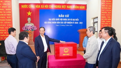 Orașul Hai Phong: Ajutarea alegătorilor să înțeleagă criteriile electorale, drepturile și obligațiile lor.