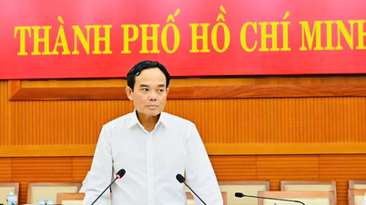 El secretario del Partido en Ciudad Ho Chi Minh, Tran Luu Quang, ordenó que la emisión de tarjetas de votante se complete a más tardar el 10 de marzo.