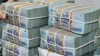 Dalam tempoh dua bulan pertama tahun ini, hasil belanjawan melebihi 600 trilion VND.