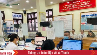 Strengthening the implementation of administrative procedure reform tasks.