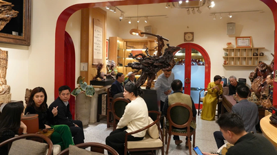 Kawasan Warisan Budaya Pohon Teh Kuno Hoang Lien