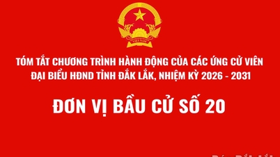 (Infographic) សេចក្តីសង្ខេបនៃកម្មវិធីសកម្មភាពរបស់បេក្ខជនសម្រាប់ក្រុមប្រឹក្សាប្រជាជនខេត្តដាក់ឡាក់ អាណត្តិ ២០២៦-២០៣១ - អង្គភាពបោះឆ្នោតលេខ ២០