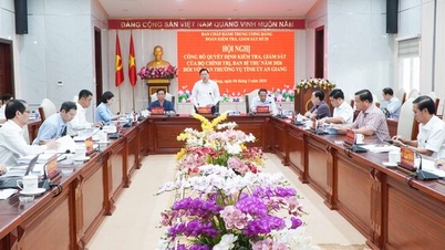 Bekendmaking van het besluit van het Politbureau en het Secretariaat betreffende de inspectie en het toezicht op het Permanent Comité van de Provinciale Partij van An Giang in 2026.