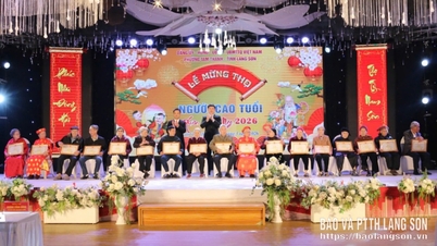 Le quartier de Tam Thanh célèbre l'anniversaire de 313 personnes âgées.
