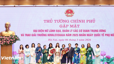 Professor, dokter Tran Thi Viet Nga ontvangt de Kovalevskaia-prijs.