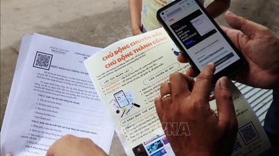Wdrożenie nowego rozporządzenia w sprawie podatków od gospodarstw domowych i działalności gospodarczej.