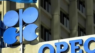 ОПЕК+ має потенціал збільшити видобуток нафти на додаткові 137 000 барелів на день, починаючи з квітня 2026 року.
