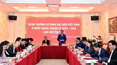O vice-presidente permanente do Comitê Popular Provincial, Nguyen Manh Tuan, recebeu e trabalhou com os chefes das representações diplomáticas vietnamitas no exterior.