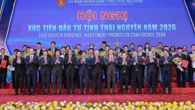 ປະຈຸບັນ, ຍອດເງິນລົງທຶນຈາກຕ່າງປະເທດໃນຫວຽດນາມ ໄດ້ເພີ່ມຂຶ້ນຫຼາຍກວ່າ 6 ຕື້ໂດລາສະຫະລັດ.