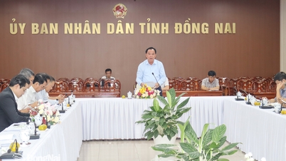 Dong Nai accélère ses efforts pour achever le défrichement des terrains destinés à 3 zones industrielles en mars.