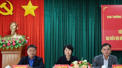 Para pemilih di komune Bao Thuan memiliki harapan yang tinggi terhadap para kandidat yang maju dalam pemilihan Dewan Rakyat Provinsi.