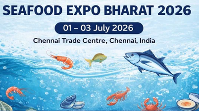 インドで開催されるBharat Seafood Exhibition (SEB) 2026へのご招待