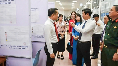 Ho Chi Minh City will complete the issuance of voter cards no later than March 10th.